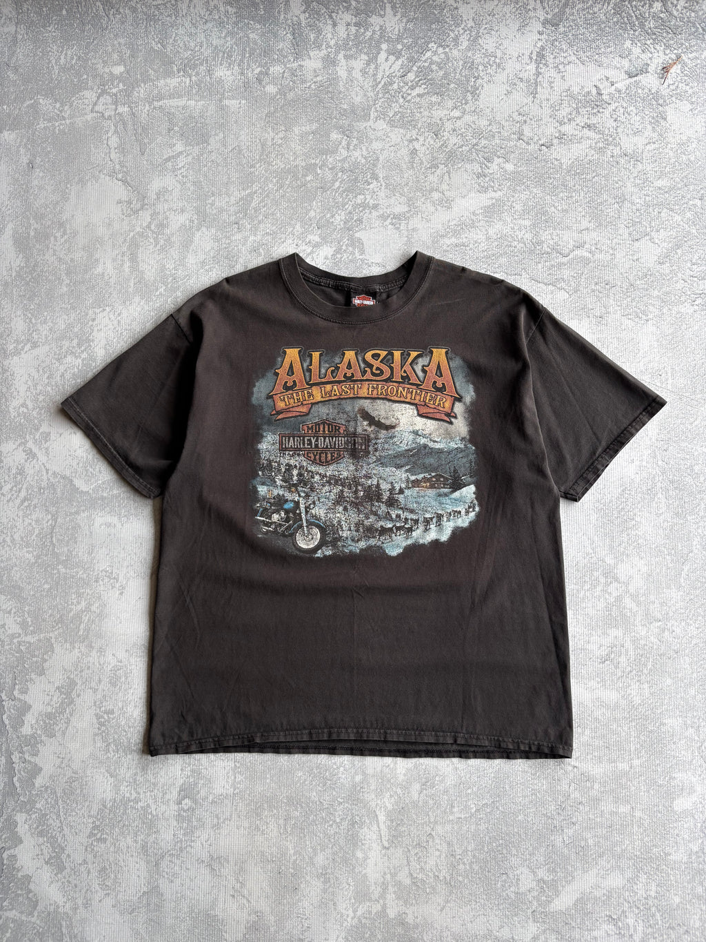 Vintage Harley Davidson Alaska Tee Shirt - XL