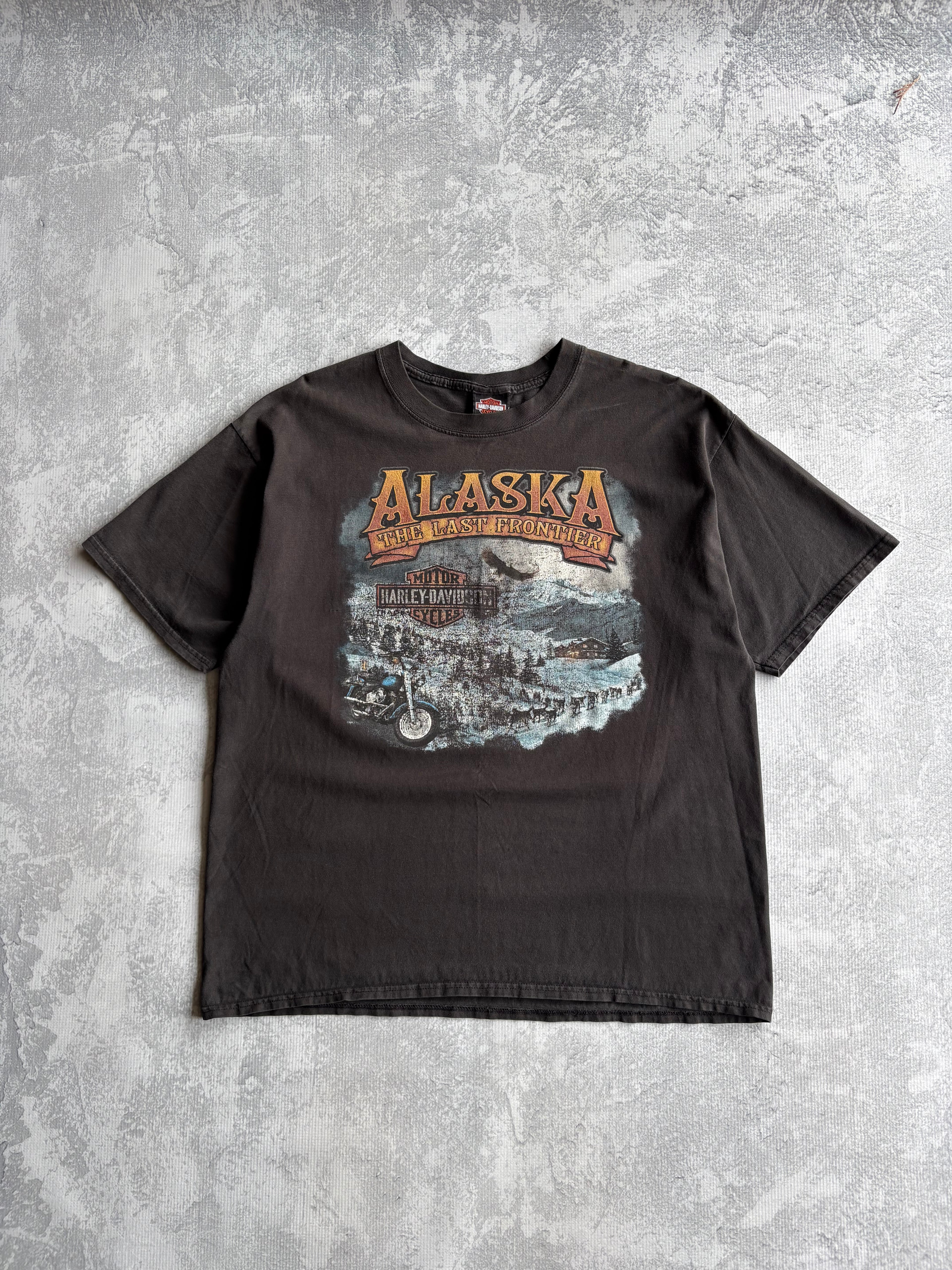 Vintage Harley Davidson Alaska Tee Shirt - XL