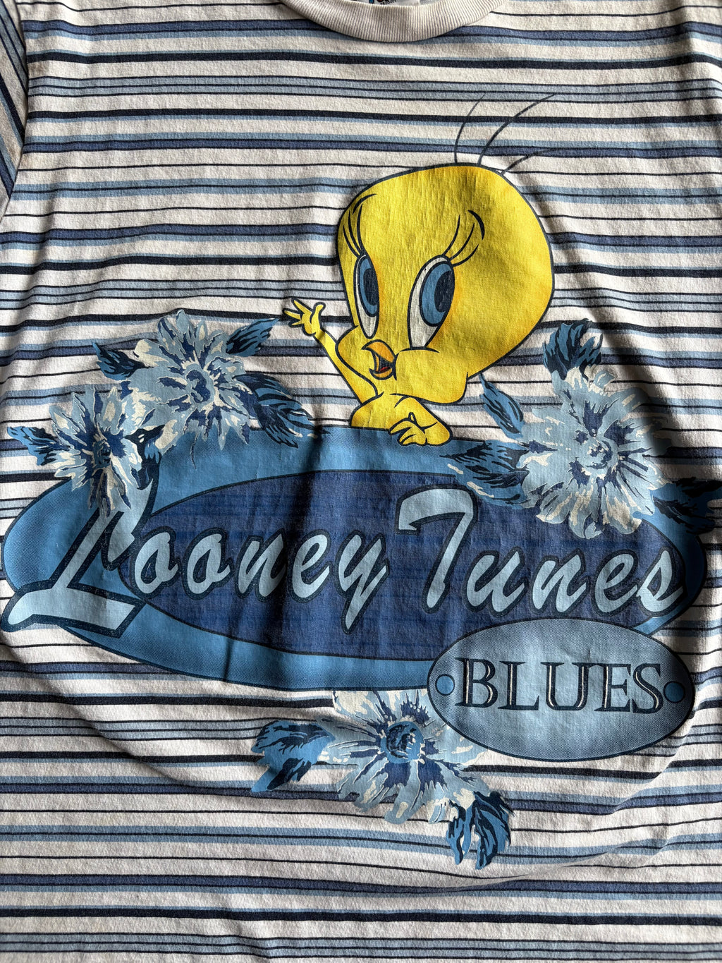 Vintage 90s Tweety Blues Striped Tee Shirt - XL