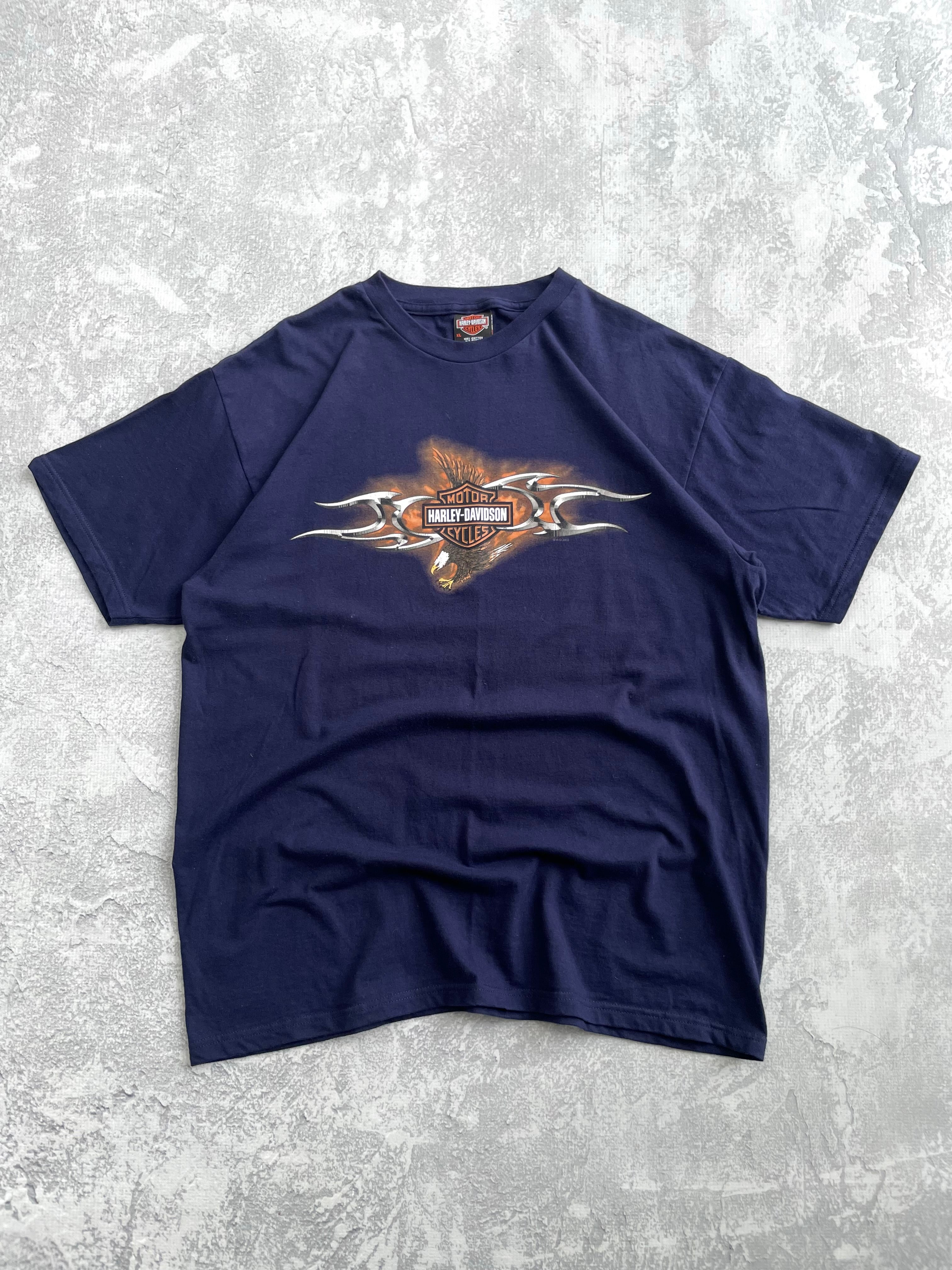 Vintage 2002 Harley Davidson Grunge Biker Tee Shirt - XL