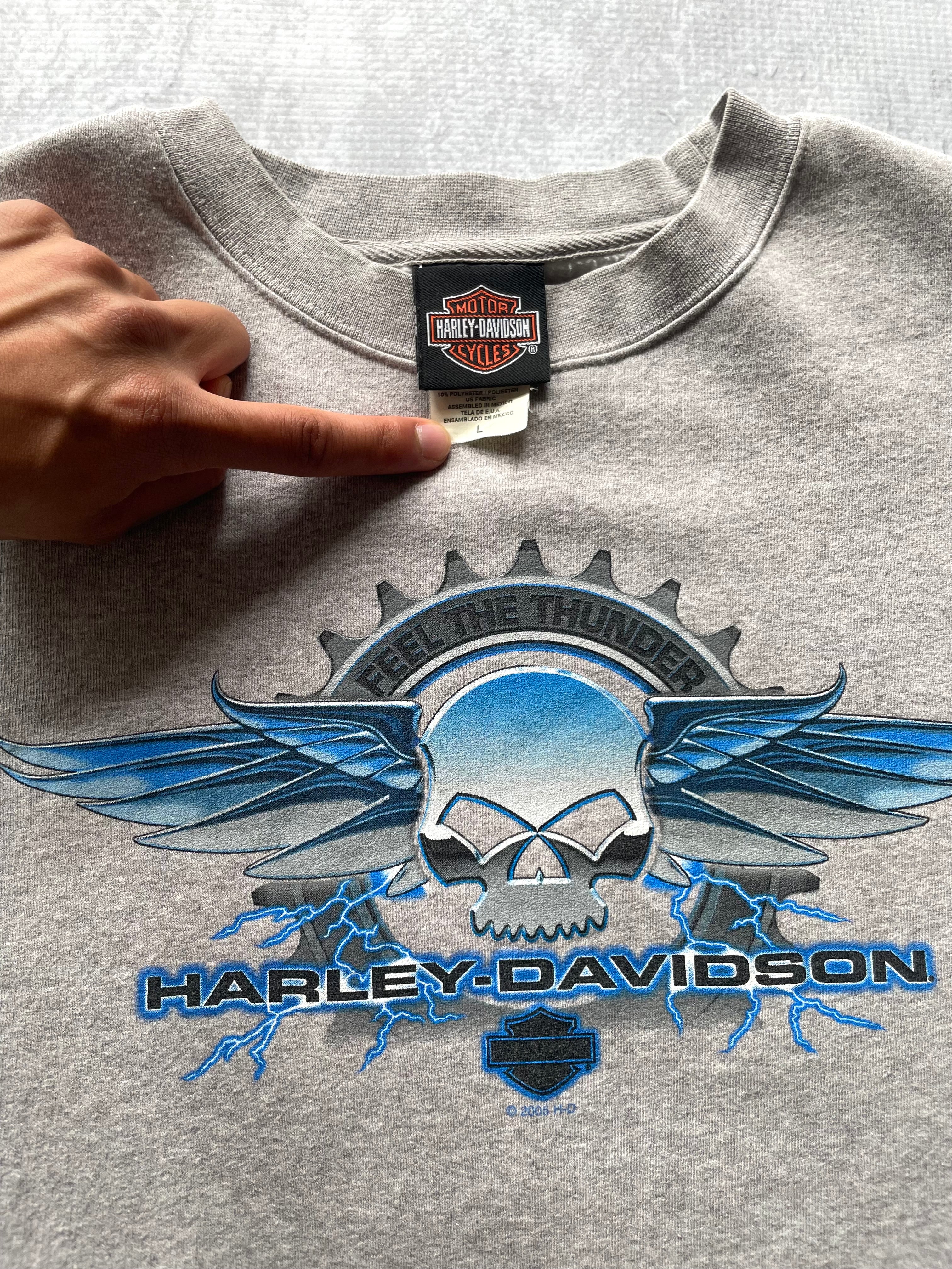 Vintage 2000s Harley Davidson Lighting Sleeve Grey Sweatshirt - L