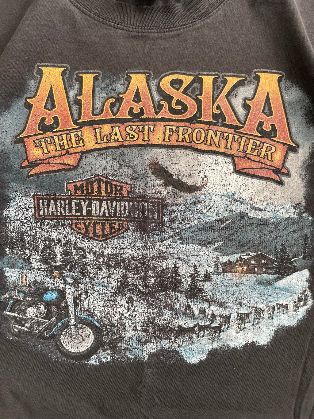Vintage 2000s Harley Davidson Faded Alaska Tee Shirt - XL