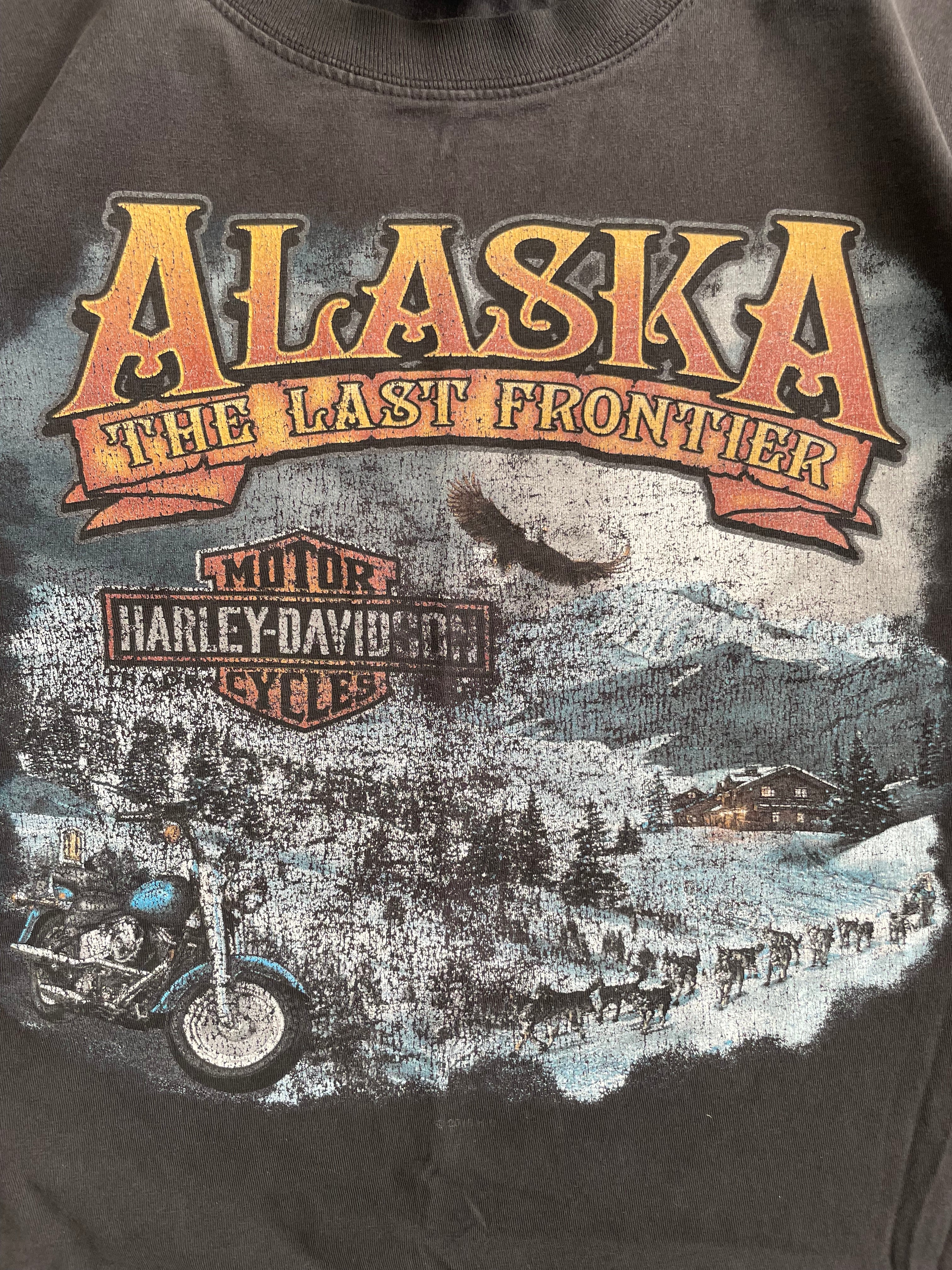 Vintage 2000s Harley Davidson Faded Alaska Tee Shirt - XL