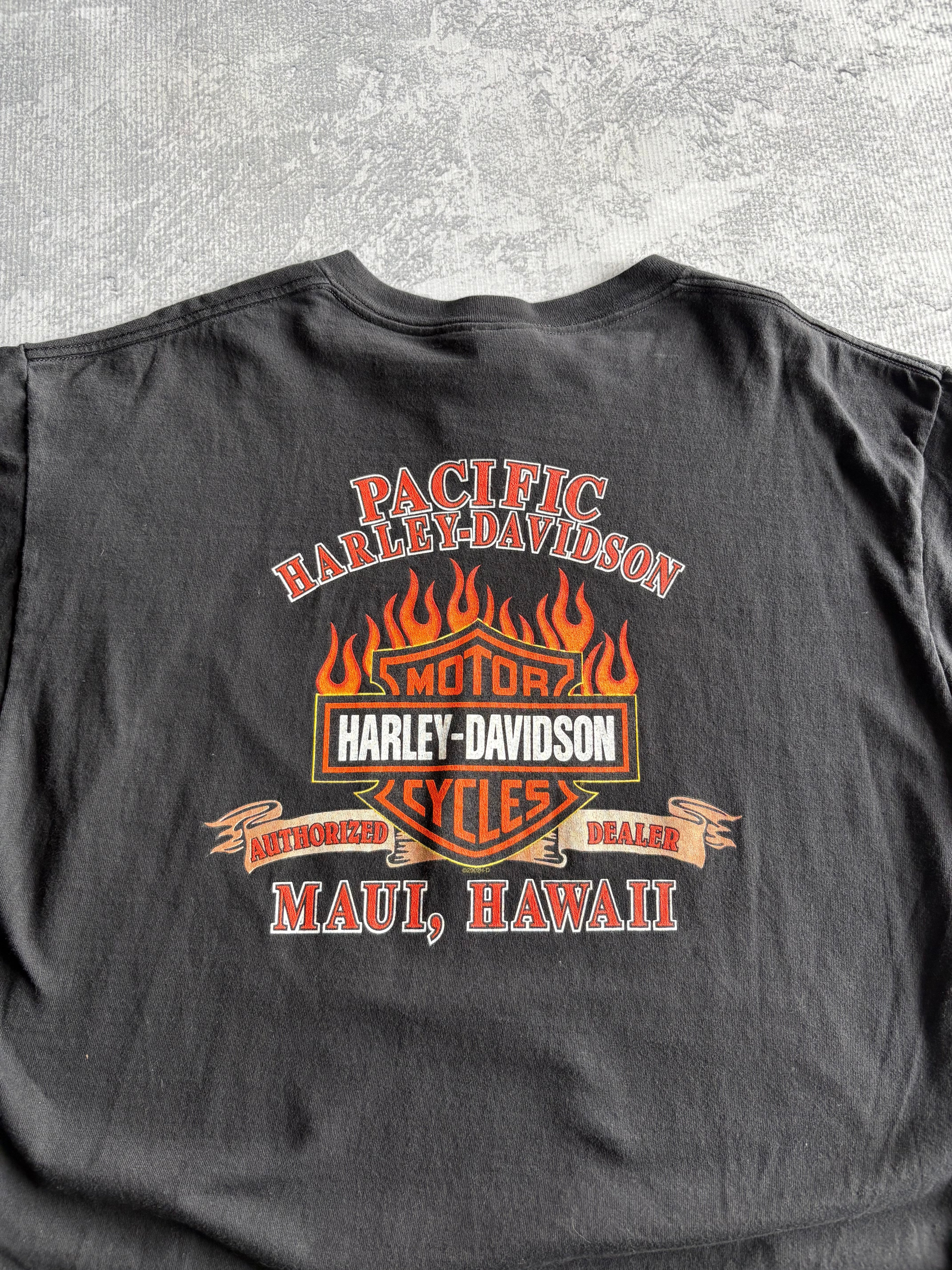 Vintage 2001 Harley Davidson Multicolor Eagle Biker Tee Shirt - XL