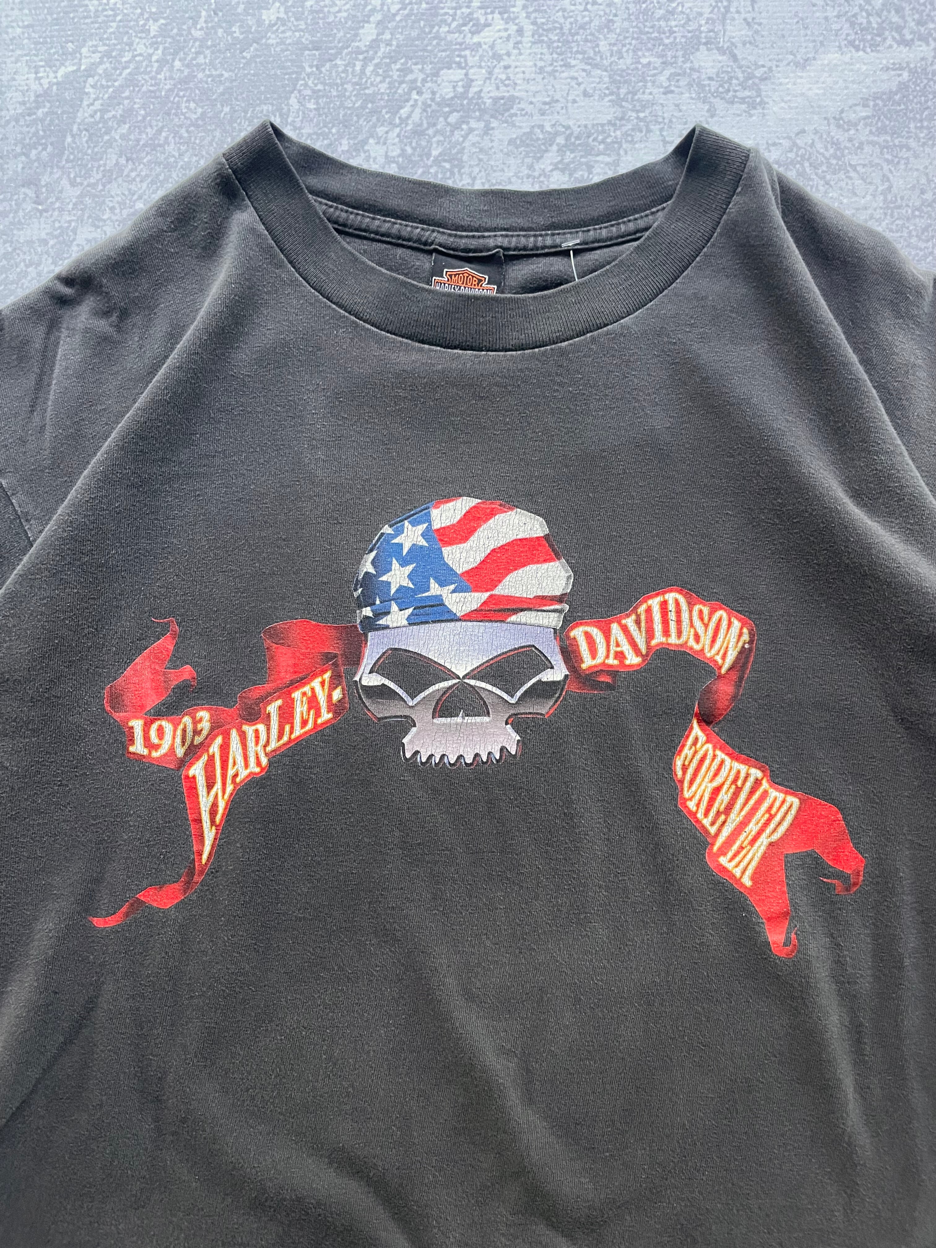 Vintage 2001 Harley Davidson American Skull Faded Grey Tee Shirt - L