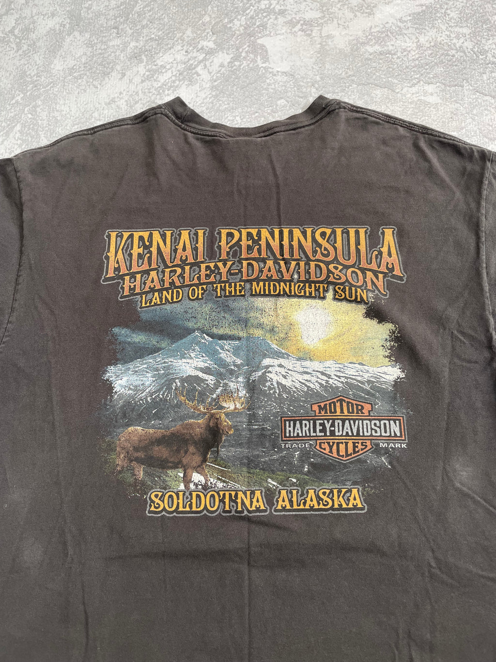 Vintage 2000s Harley Davidson Faded Alaska Tee Shirt - XL