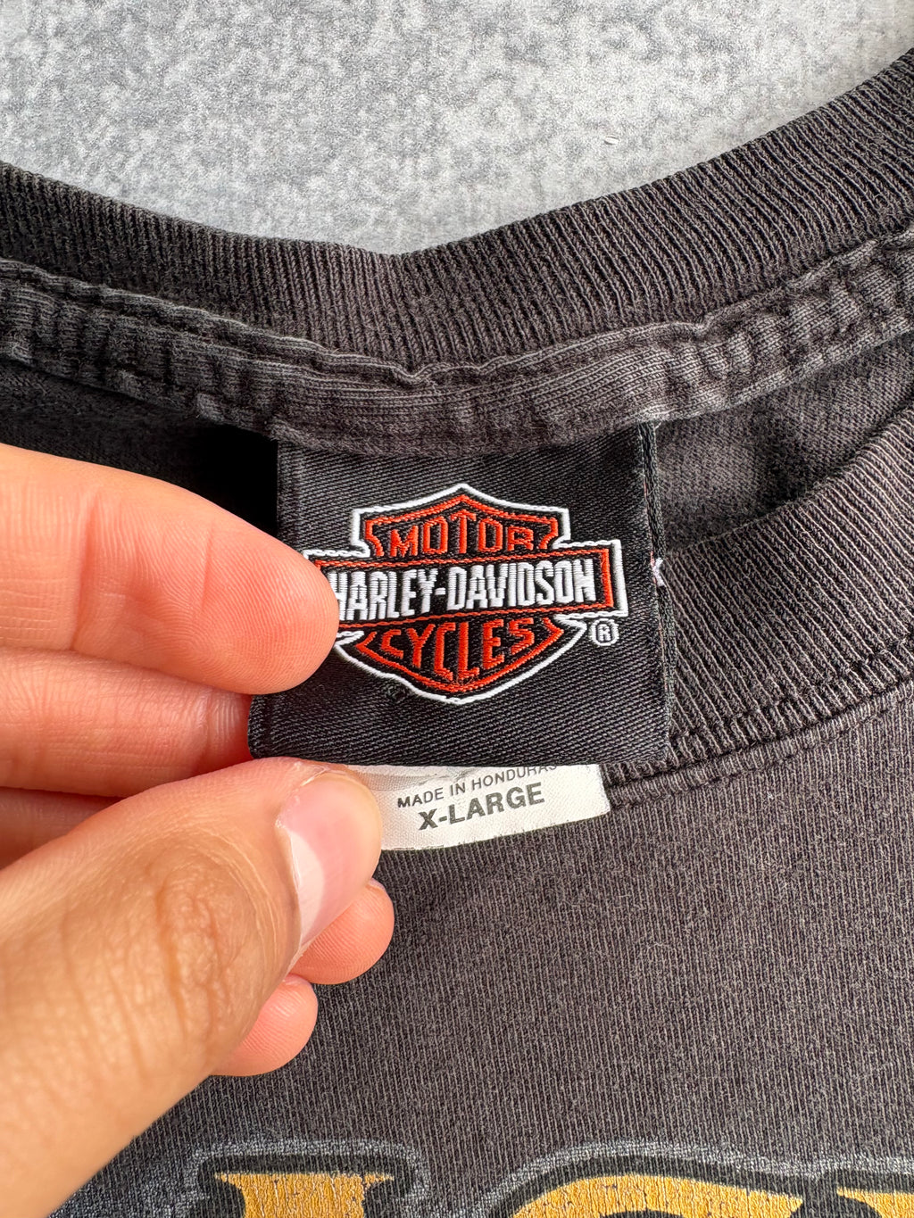 Vintage Harley Davidson Alaska Tee Shirt - XL