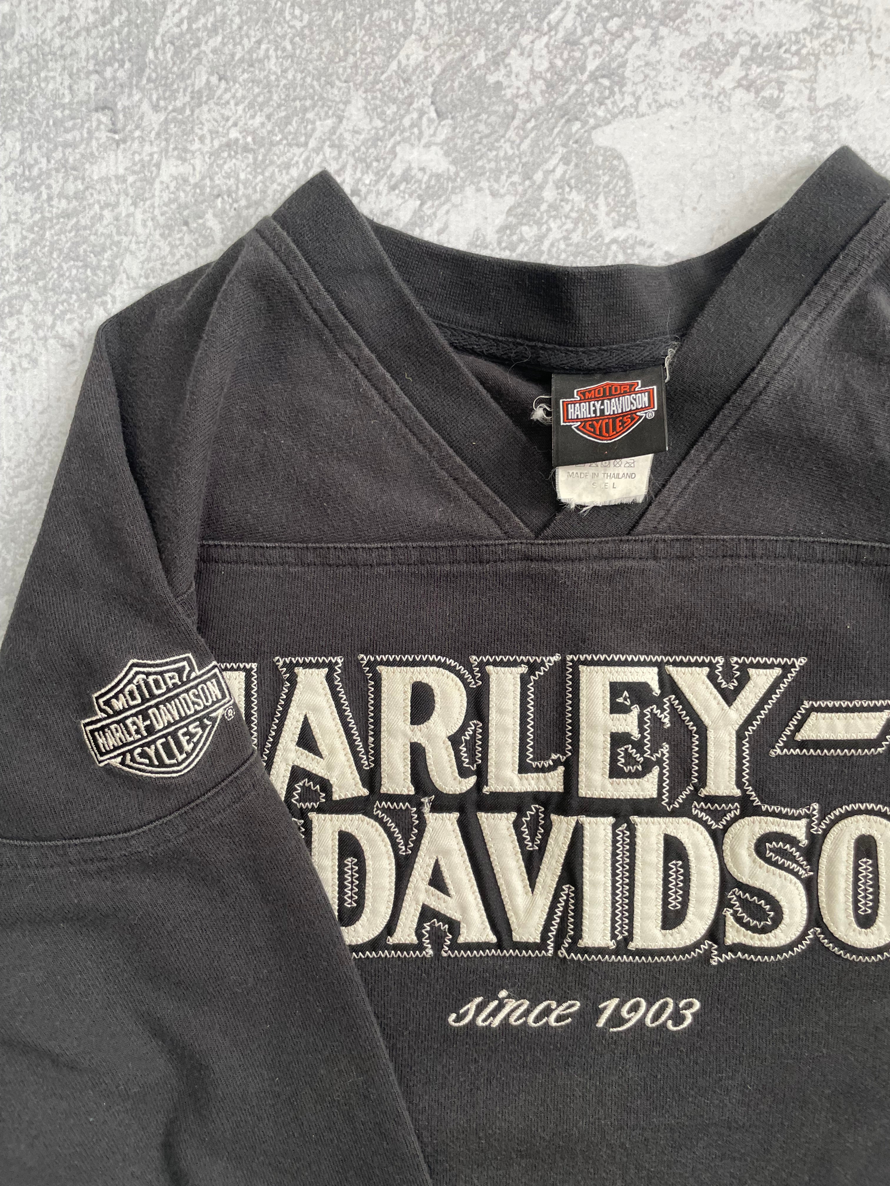 Vintage 2000s Harley Davidson Spellout V-neck Tee Shirt - XL