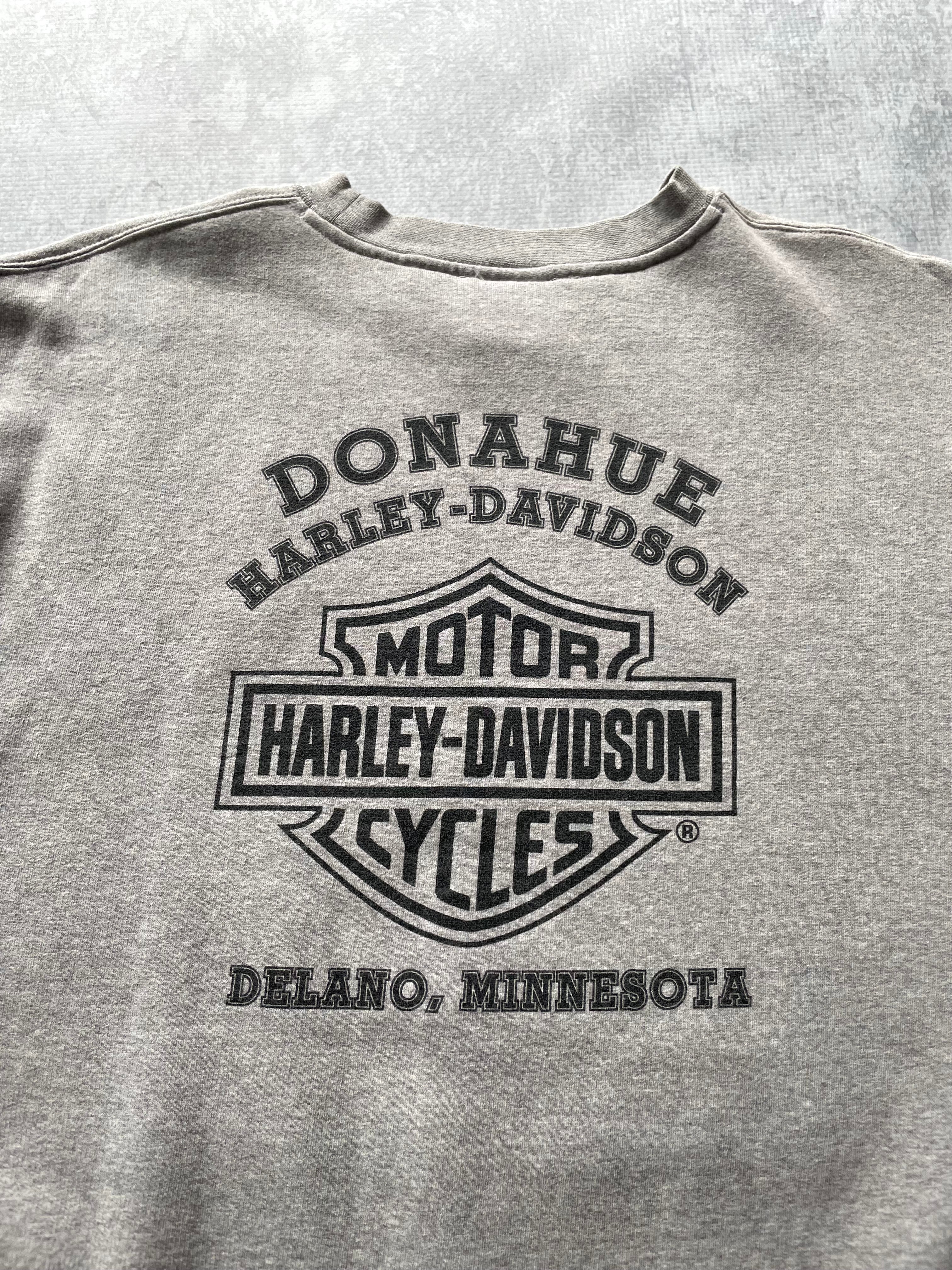 Vintage 2000s Harley Davidson Lighting Sleeve Grey Sweatshirt - L