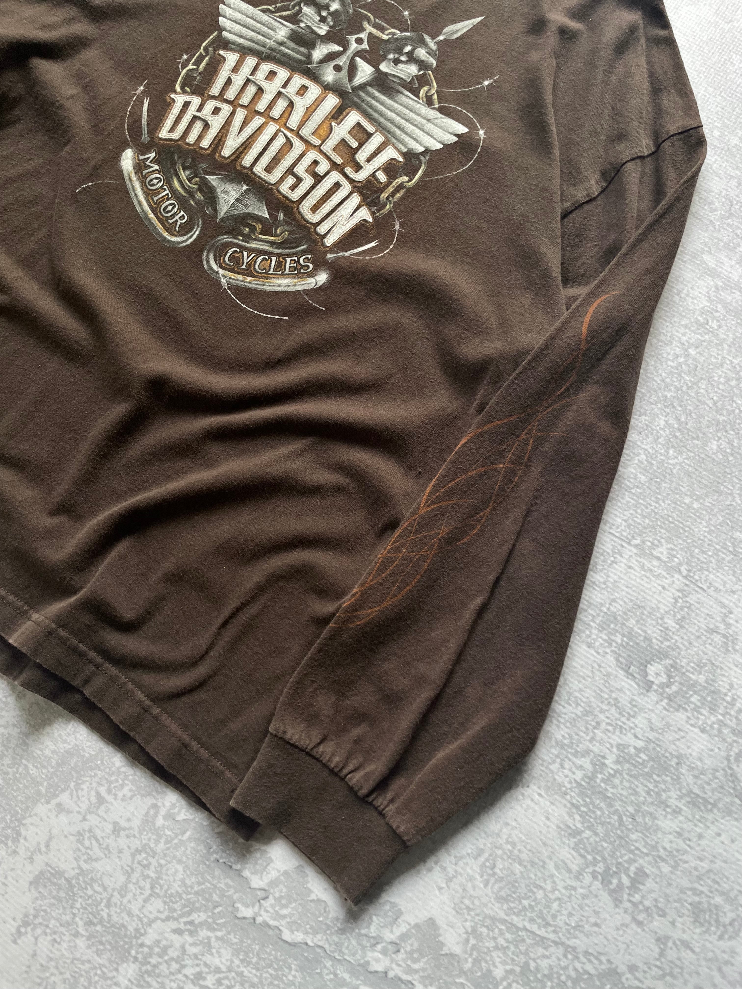 Y2K Harley Davidson Skull & Flame Long Sleeve Tee
- XL