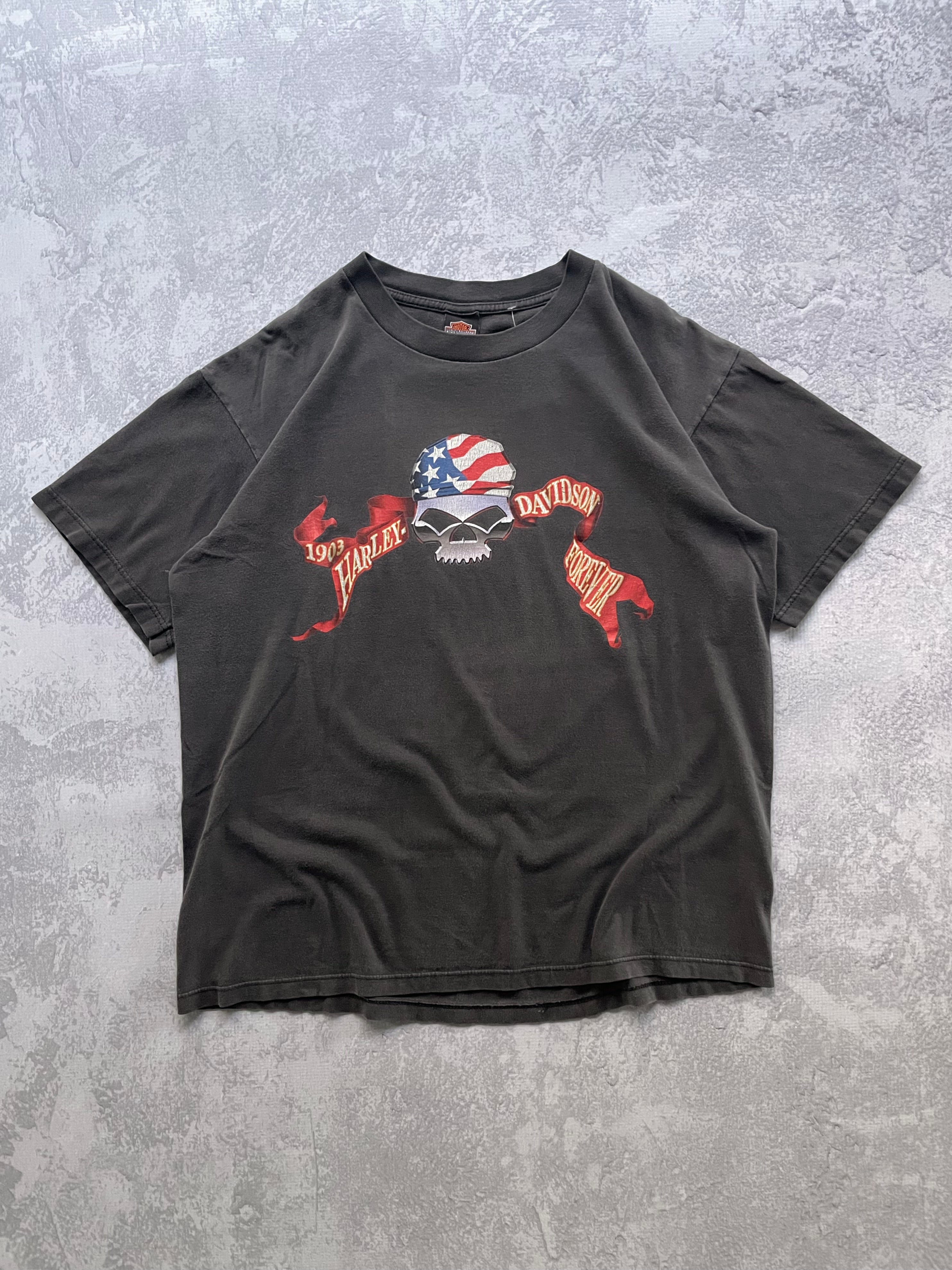 Vintage 2001 Harley Davidson American Skull Faded Grey Tee Shirt - L