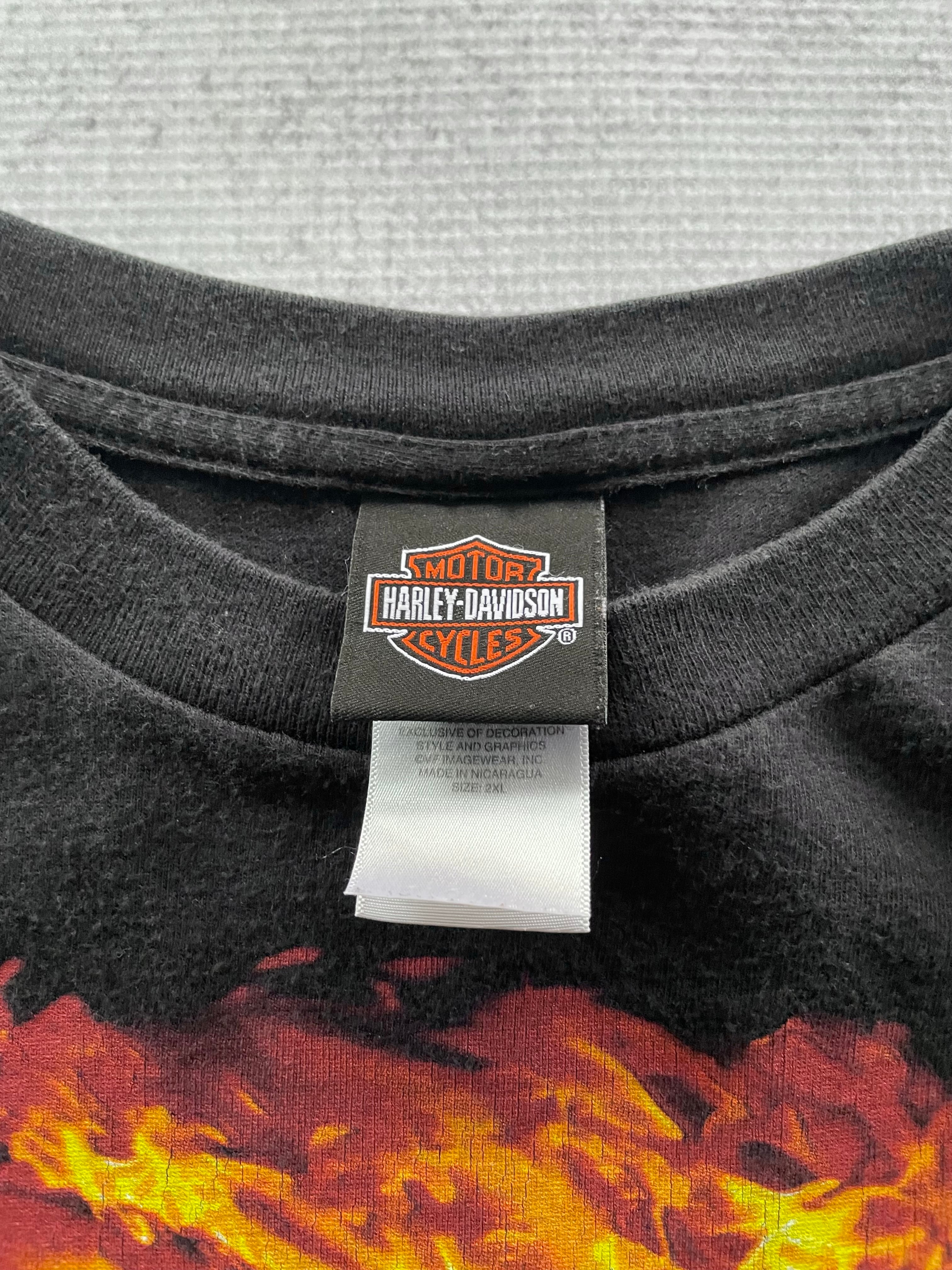 Vintage 2000s Harley Davidson Eagle Flame - 2XL