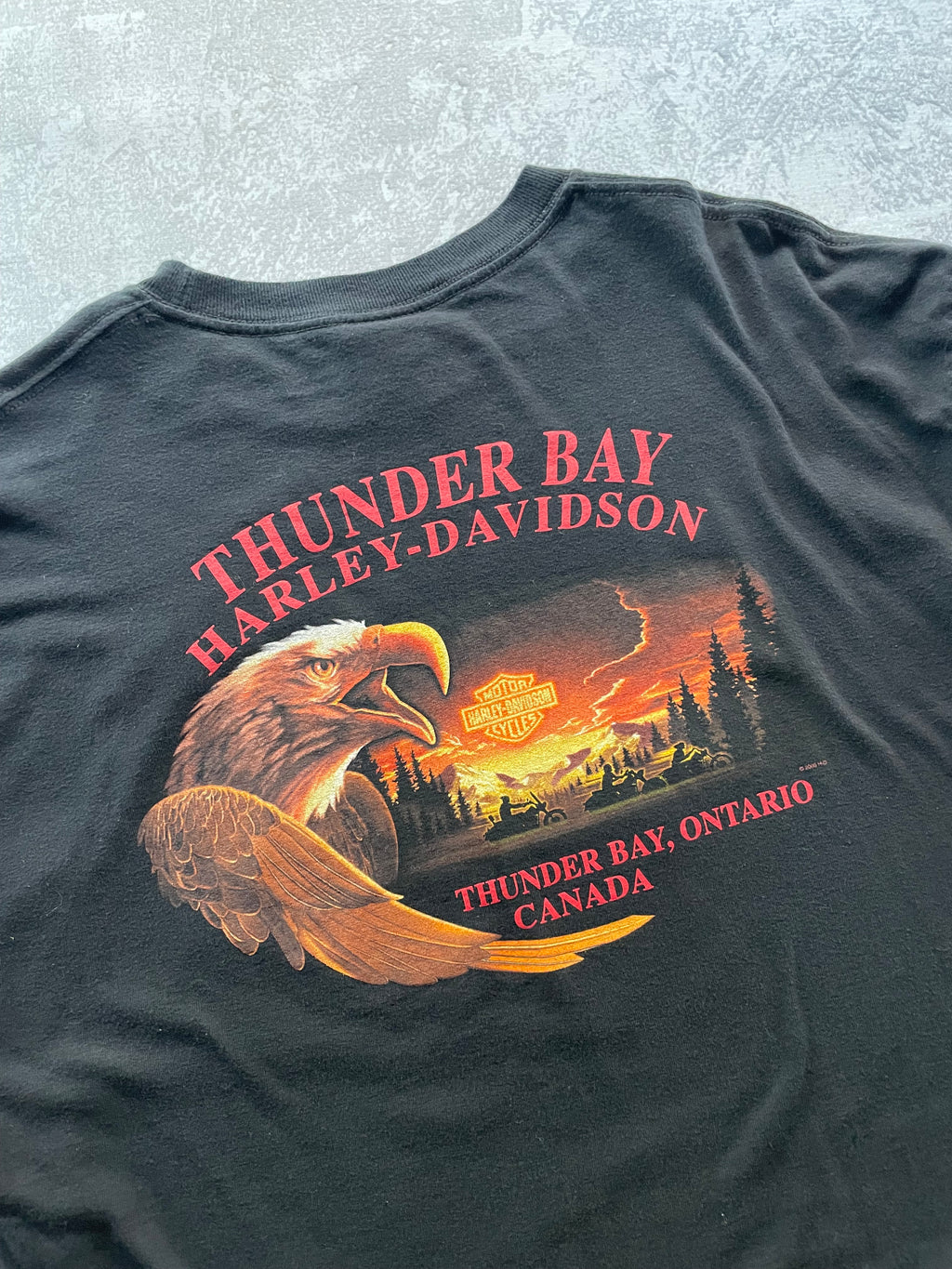 Vintage 2000 Harley Davidson Leader of the Pack Wolf Lightning Tee Shirt - XL