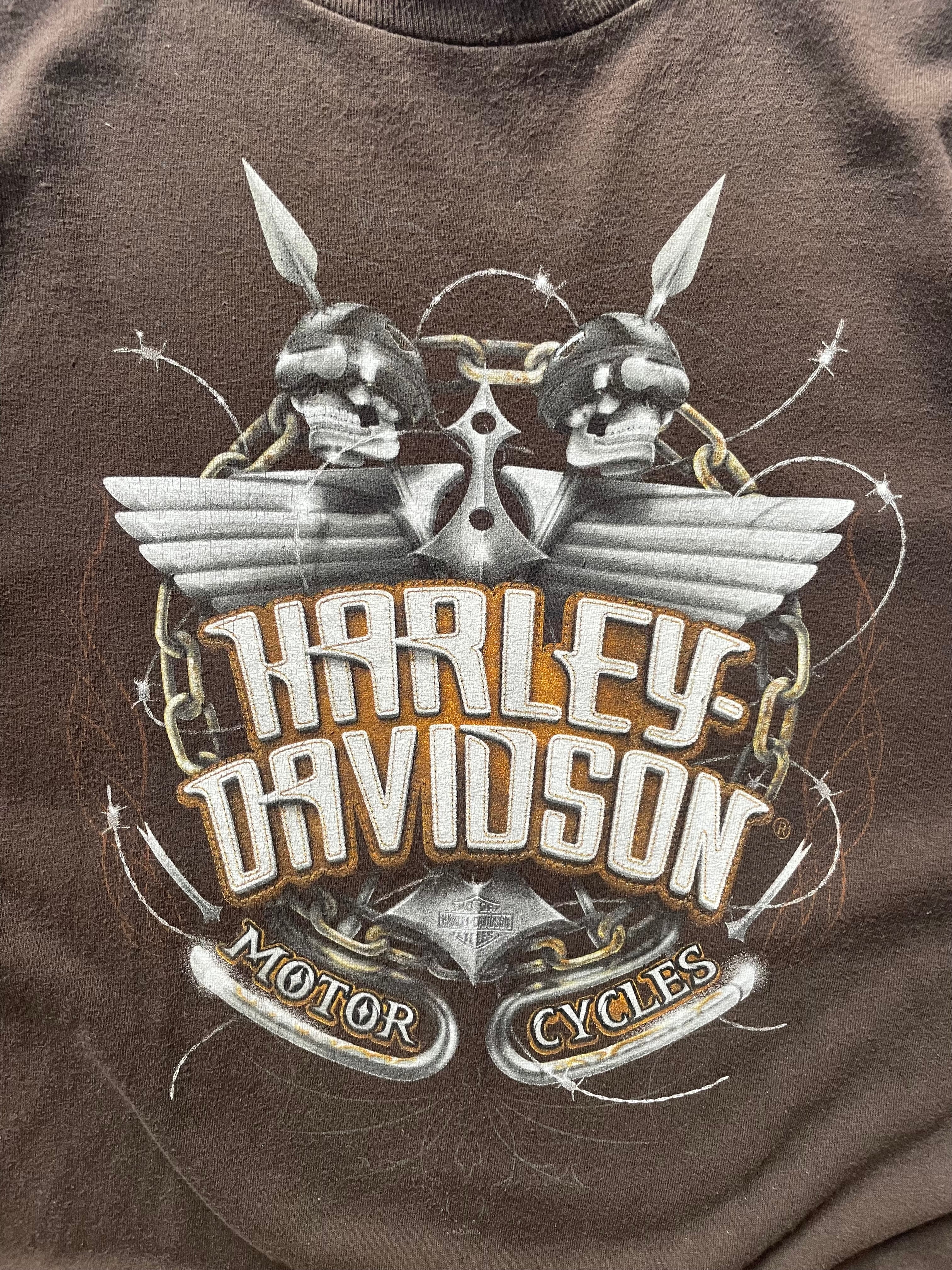 Y2K Harley Davidson Skull & Flame Long Sleeve Tee
- XL