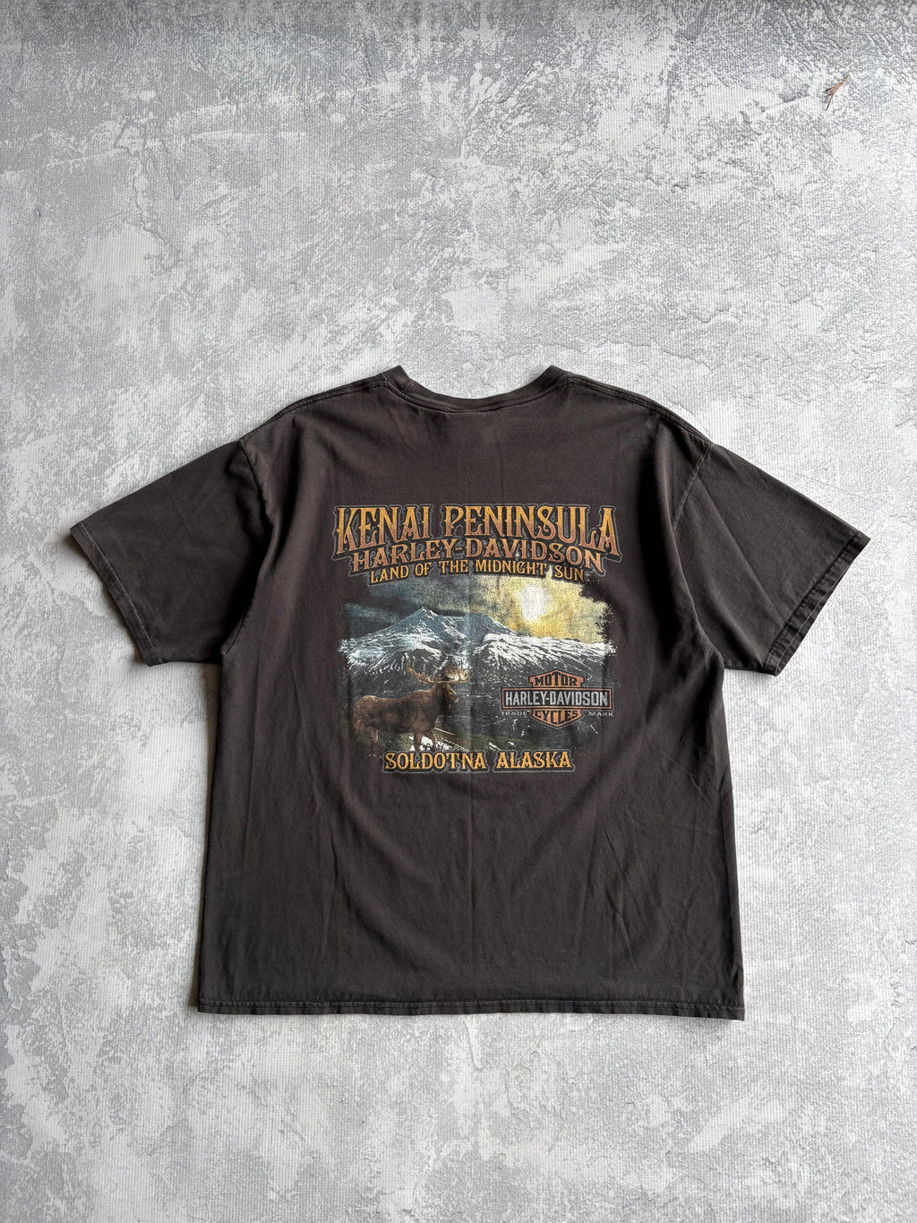 Vintage Harley Davidson Alaska Tee Shirt - XL