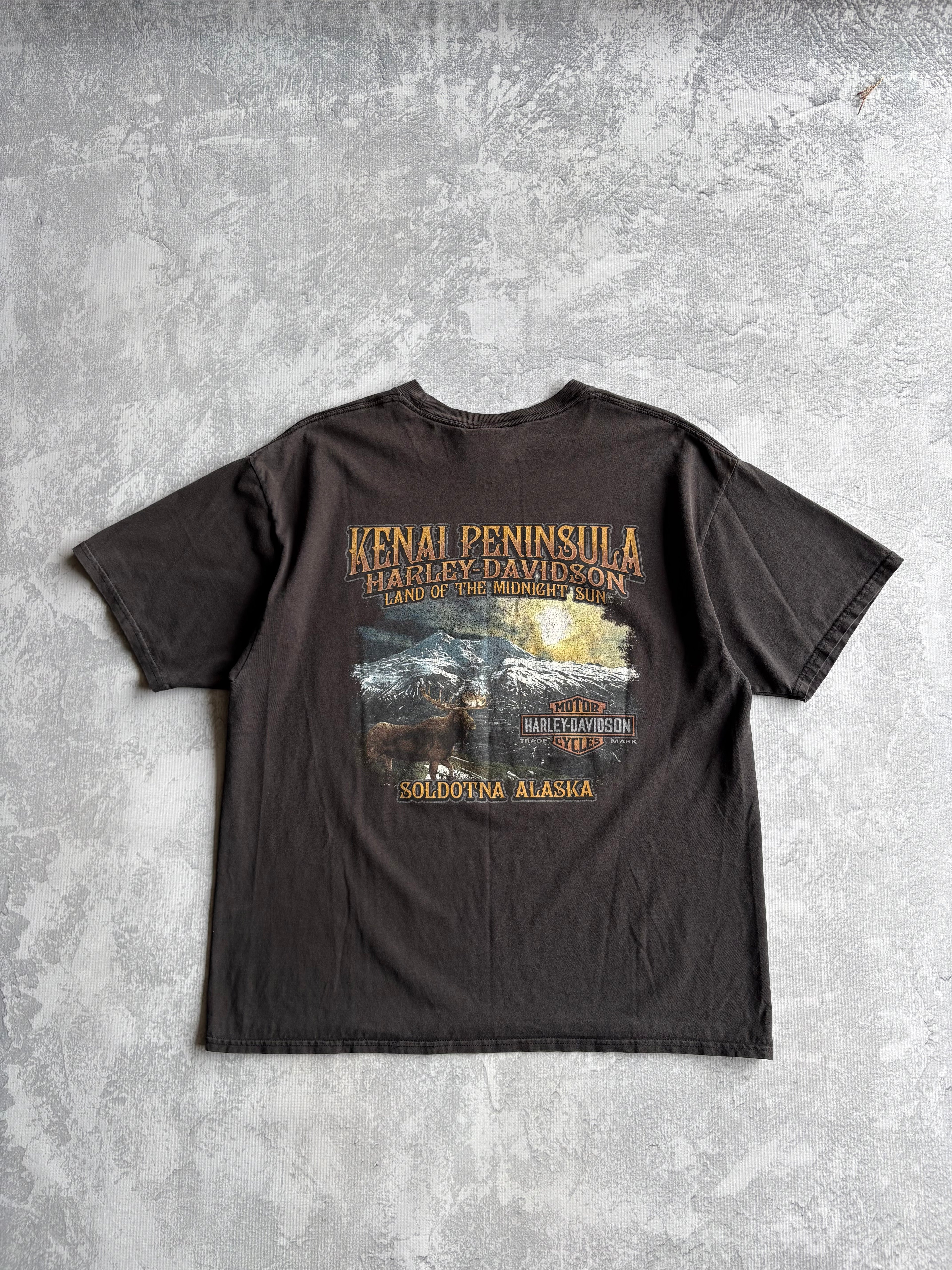 Vintage Harley Davidson Alaska Tee Shirt - XL