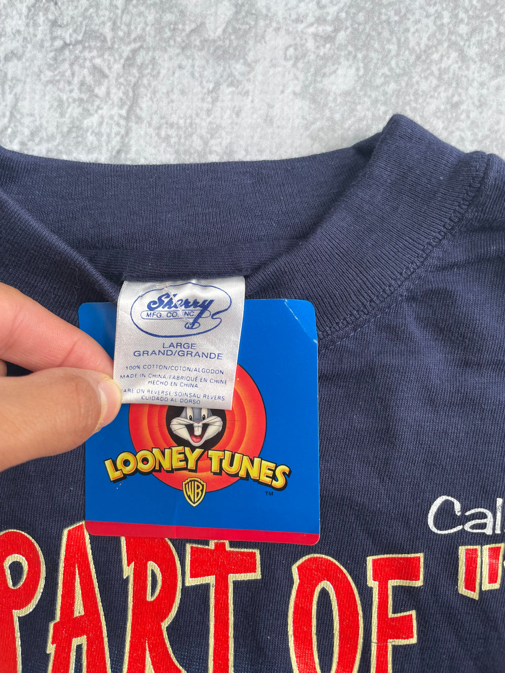 Vintage 1996 Looney Tunes Taz “NO” Blue Tee Shirt - L