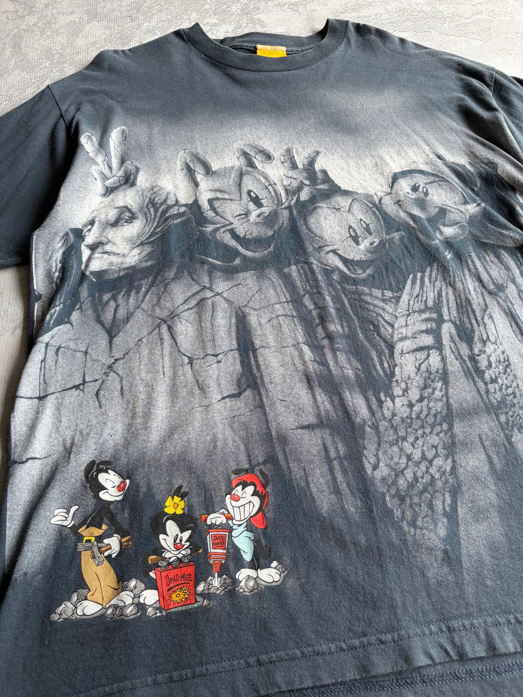 Vintage 1994 Warner Bros Animaniacs Mount Rushmore AOP Blue Tee Shirt - XL