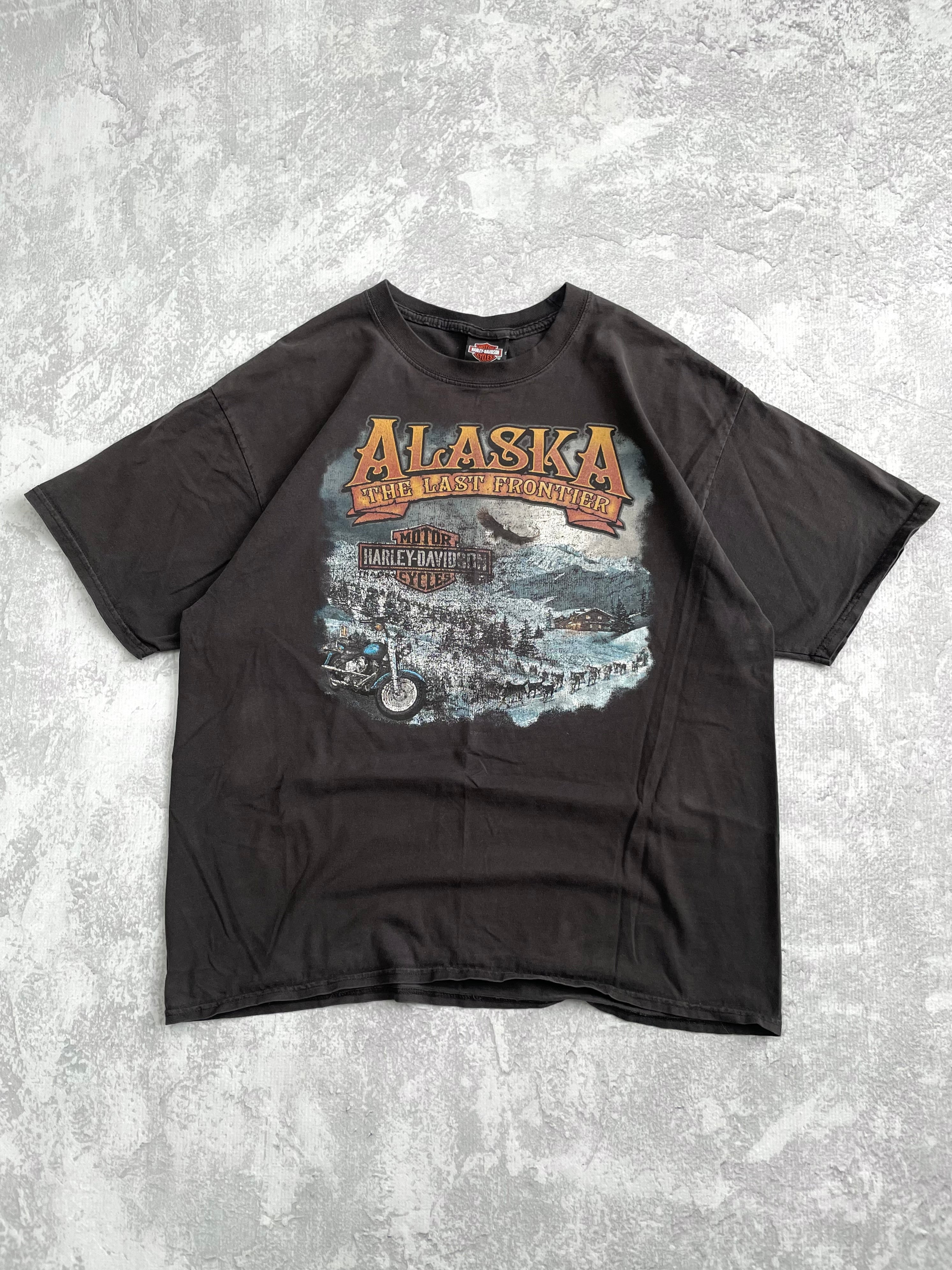 Vintage 2000s Harley Davidson Faded Alaska Tee Shirt - XL