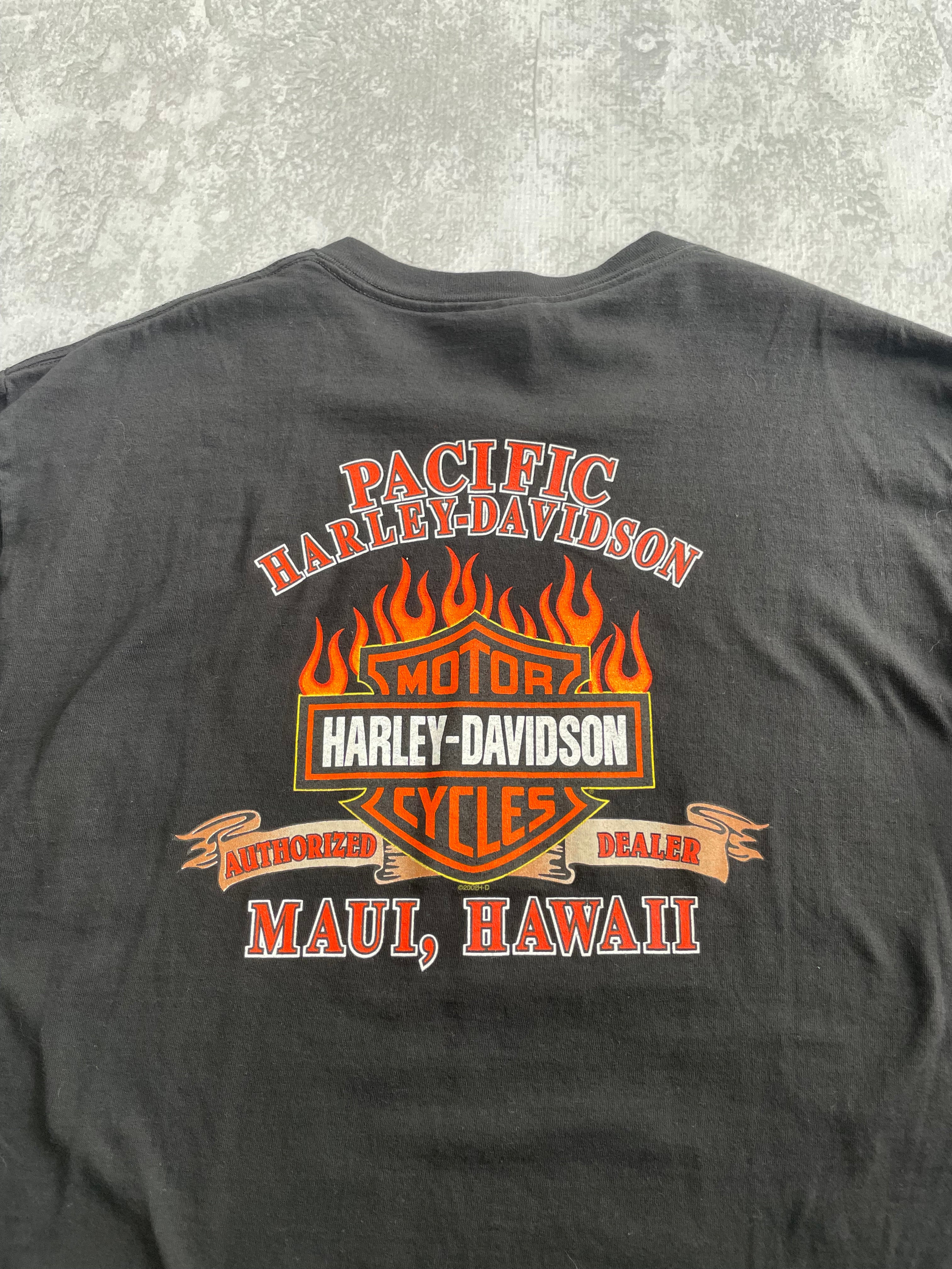 Vintage 2001 Harley Davidson Multicolor Eagle Biker Tee Shirt - XL