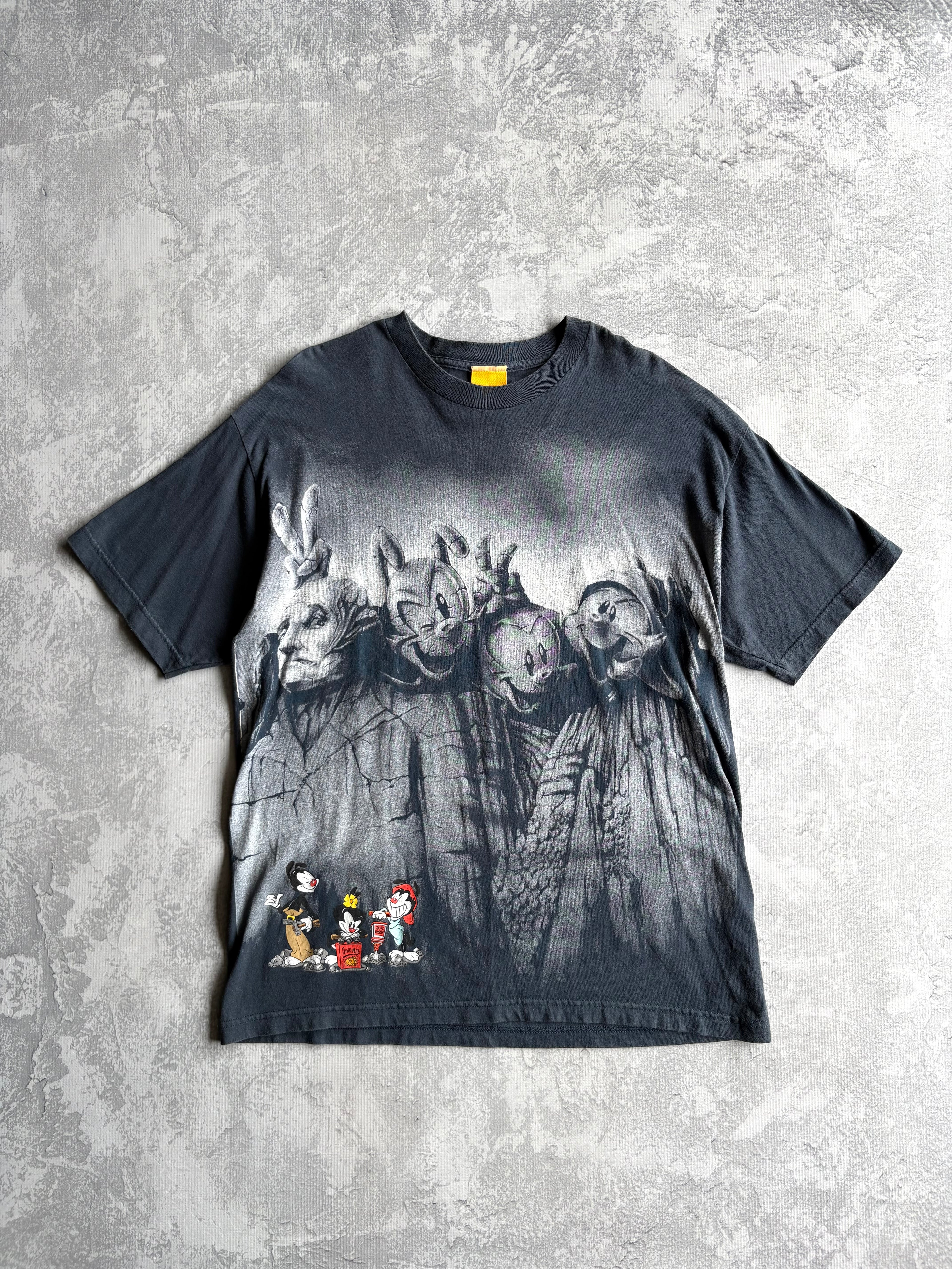 Vintage 1994 Warner Bros Animaniacs Mount Rushmore AOP Blue Tee Shirt - XL