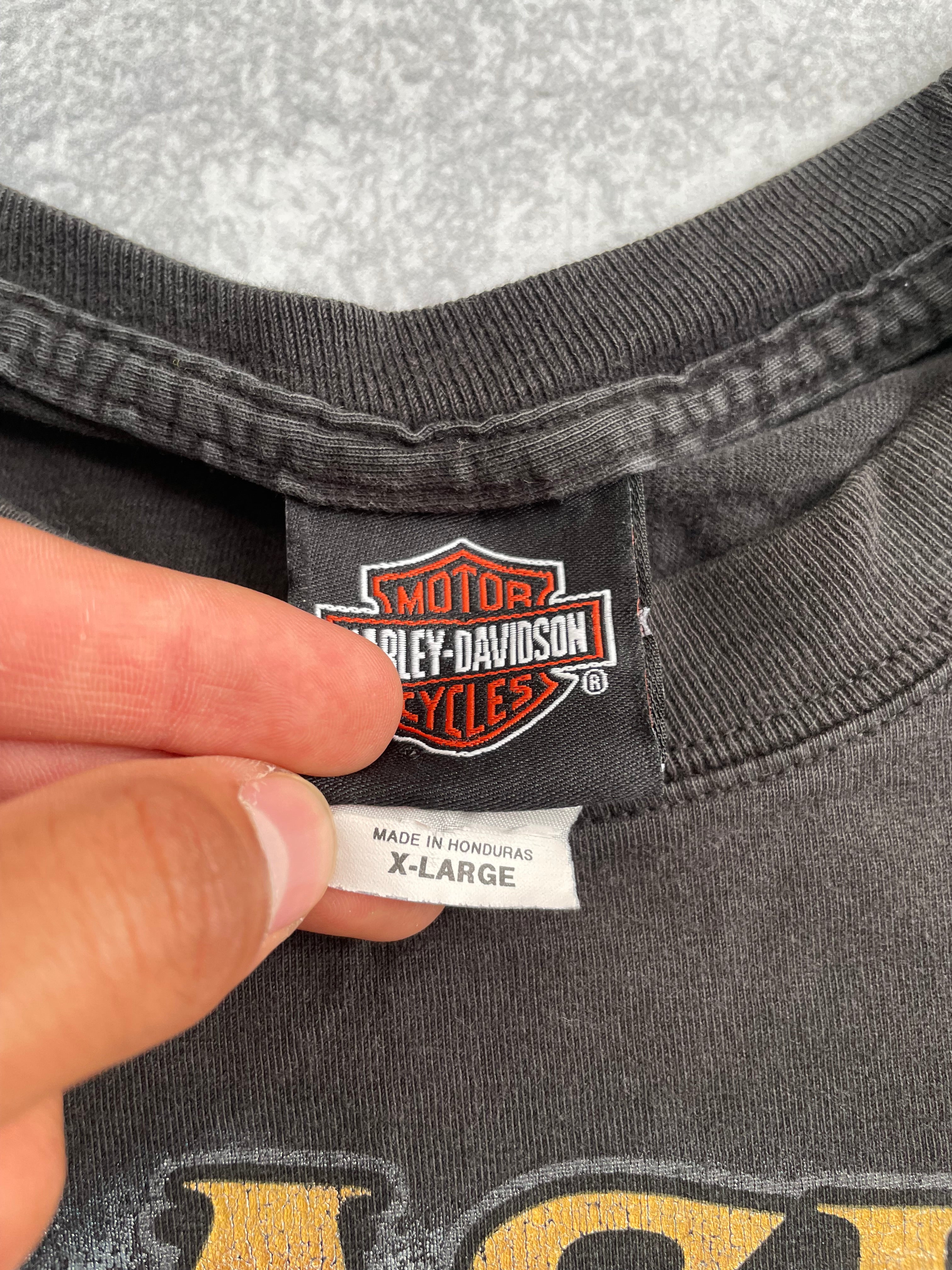 Vintage 2000s Harley Davidson Faded Alaska Tee Shirt - XL